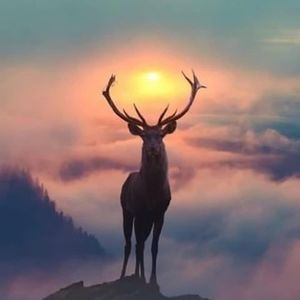 Meet your Posher, Ben